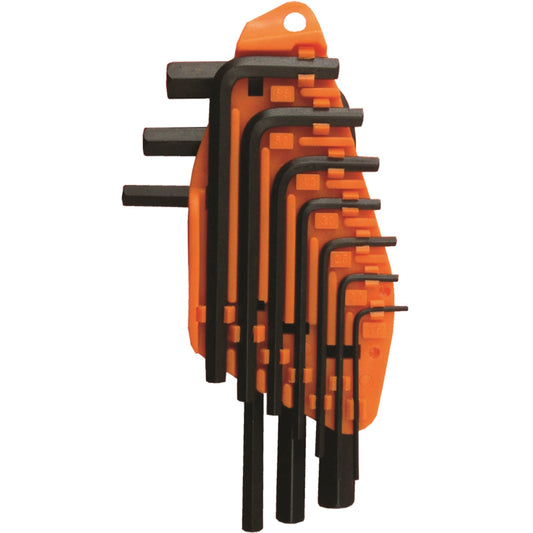 10 Piece CR-V Allen Key Set