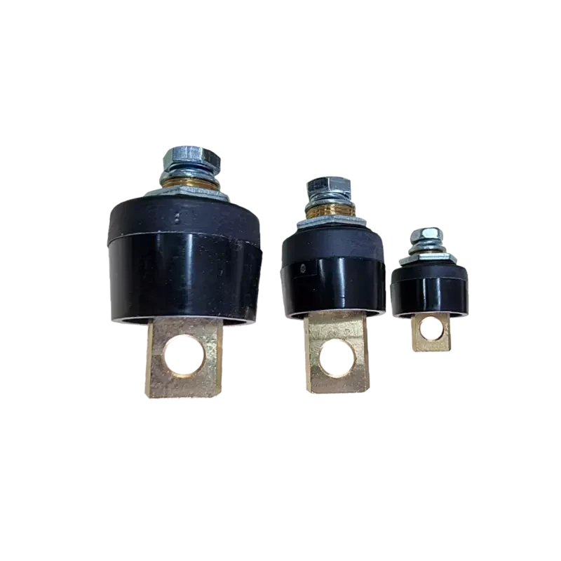 Lug type panel socket